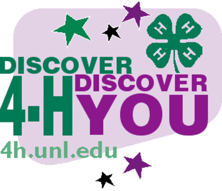 Discover 4-H, discover You art