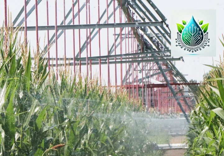 Corn irrigation Image