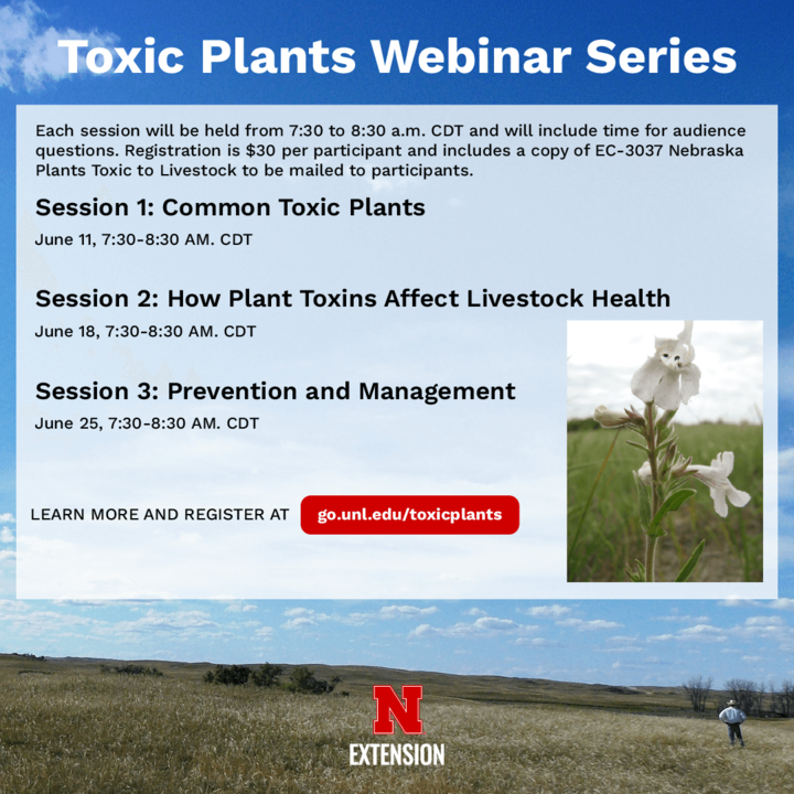 Toxic Plants