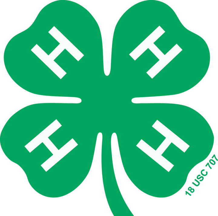 4-H Clover