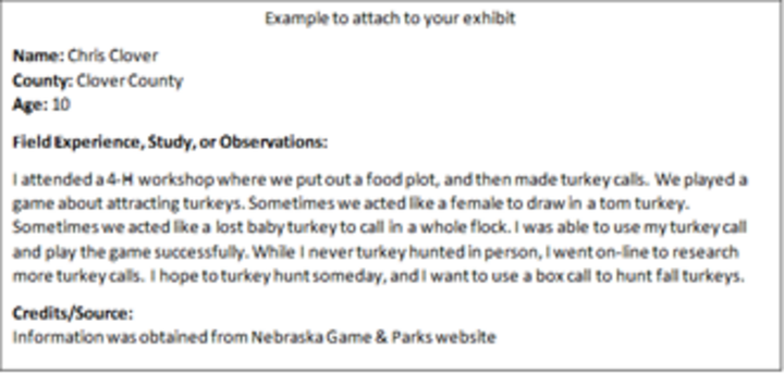 Picture of an example to attach to your exhibit