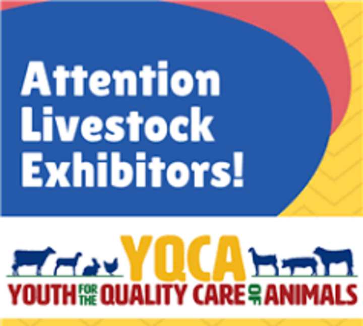 Dakota YQCA - Youth for the Quality Care of Animals