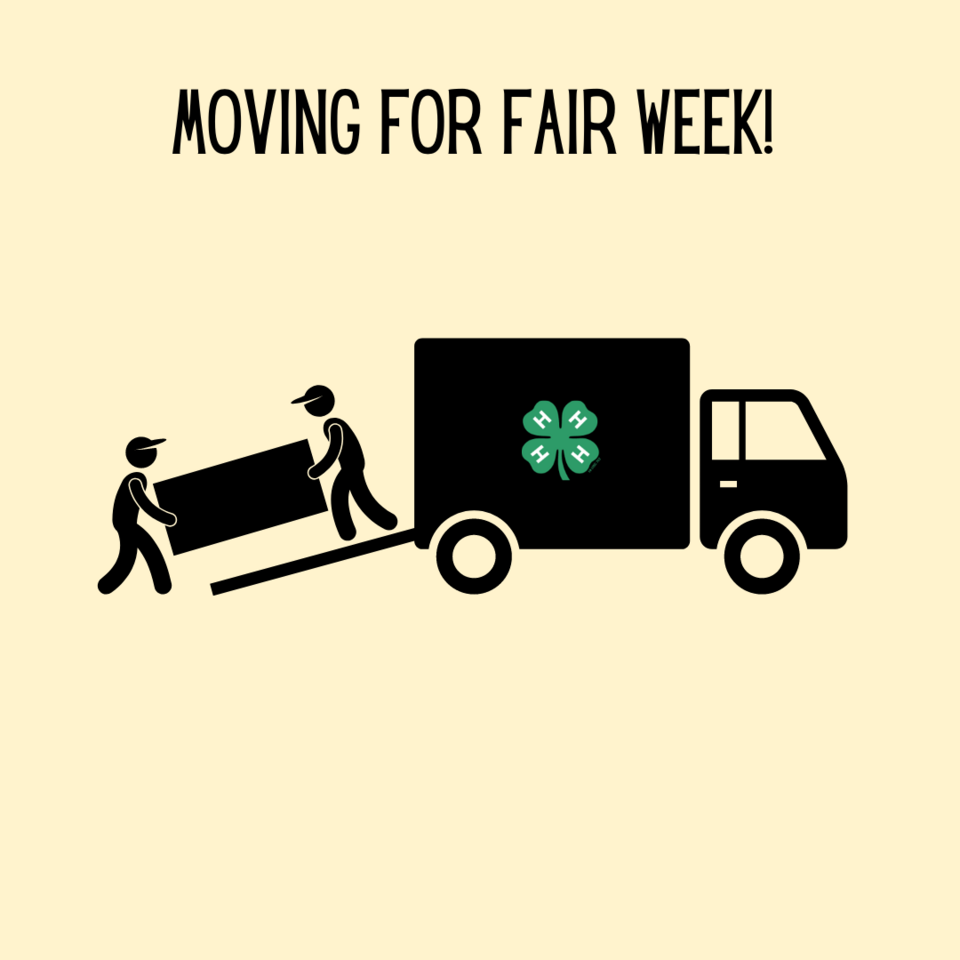 Move for Fair