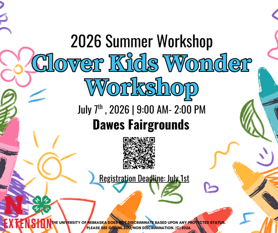 Clover Kids Wonder Workshop