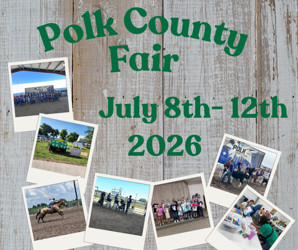 Polk County Fair will be July 8th-12th 2026. Pictures depicting youth with their 4-H activities are shown.