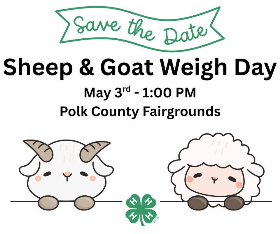 Cartoon sheep and goat below the date of the sheep and goat weigh day date: May 3rd 2026 at 1pm at the Polk County Fairgrounds