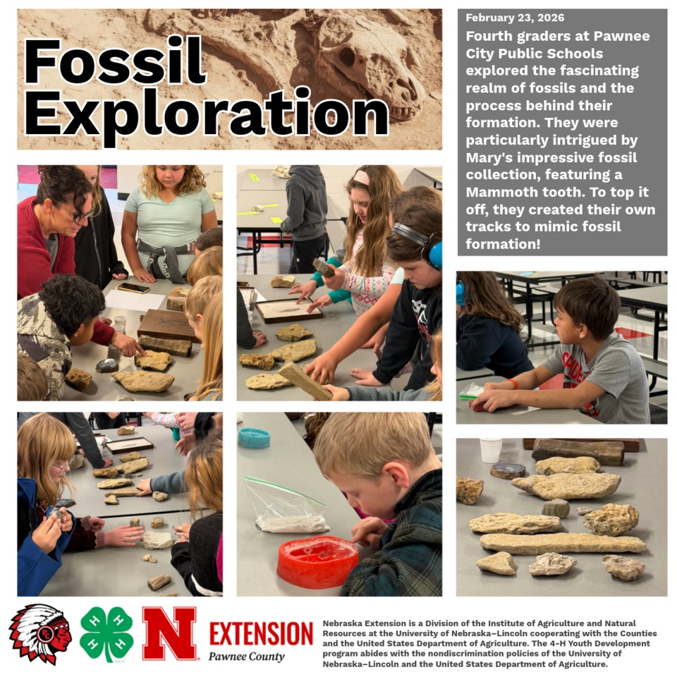 Students examining fossils and creating fossil tracks; includes mammoth tooth and Nebraska Extension logos.