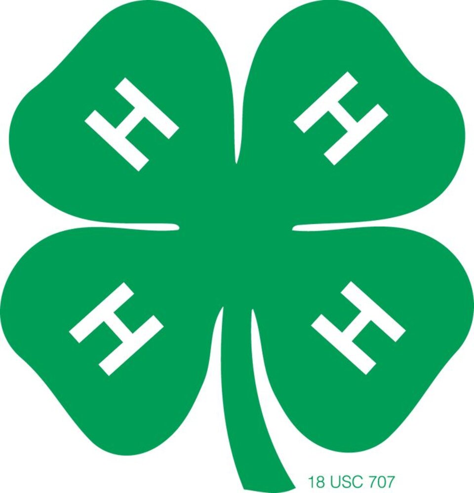 4-H Enrollment