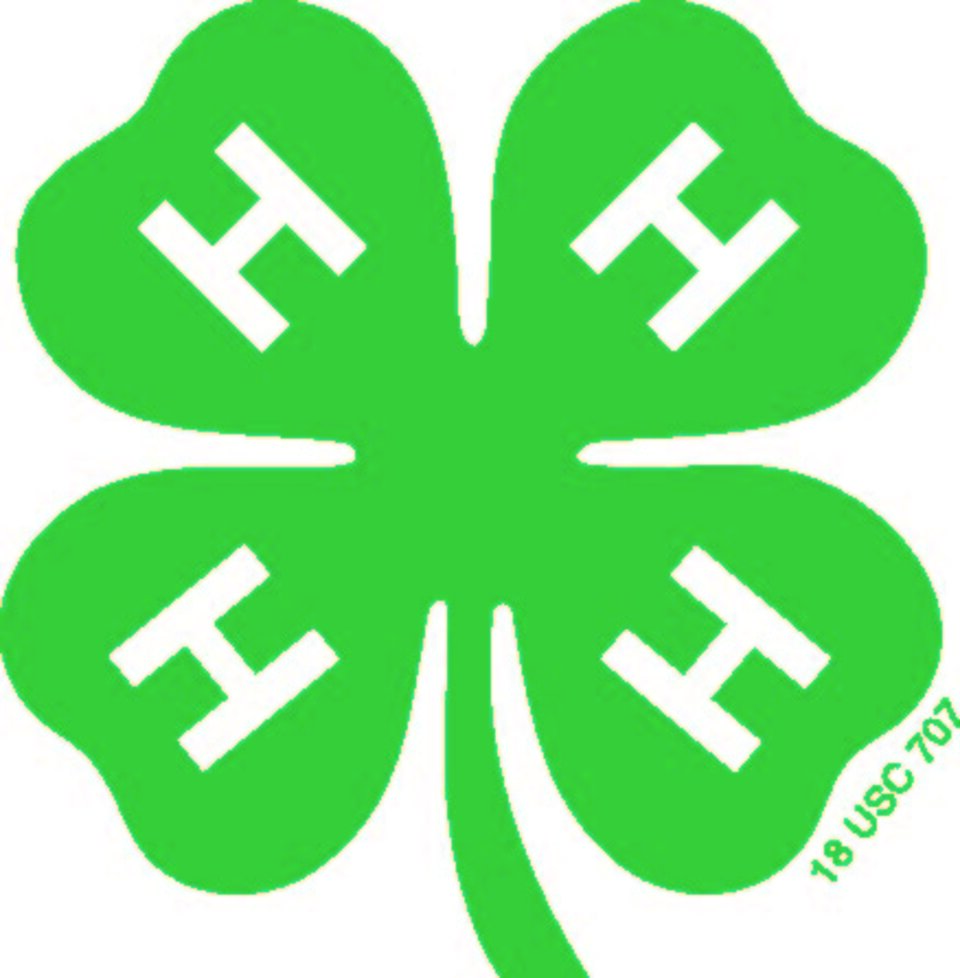 Picture of a four leaf clover with a H in each clover