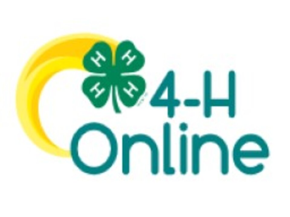 Picture of a four leaf clover with H's on each leaf with words of 4-H Online 