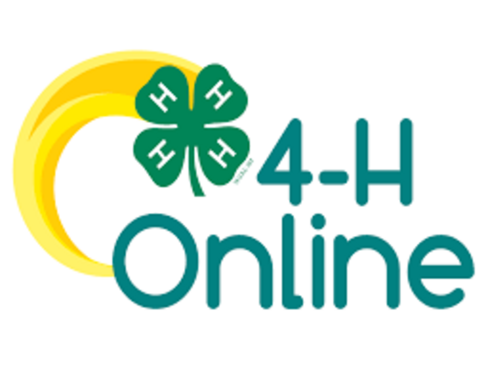 4-H Clover Logo and written 4-H Online