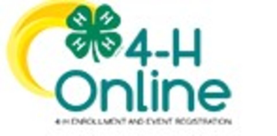 4-H Online