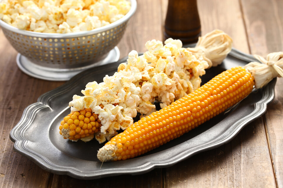 2026 Special Agronomy Project Workshop - POPCORN!