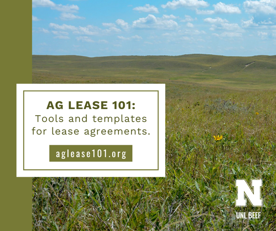Ag Lease 101