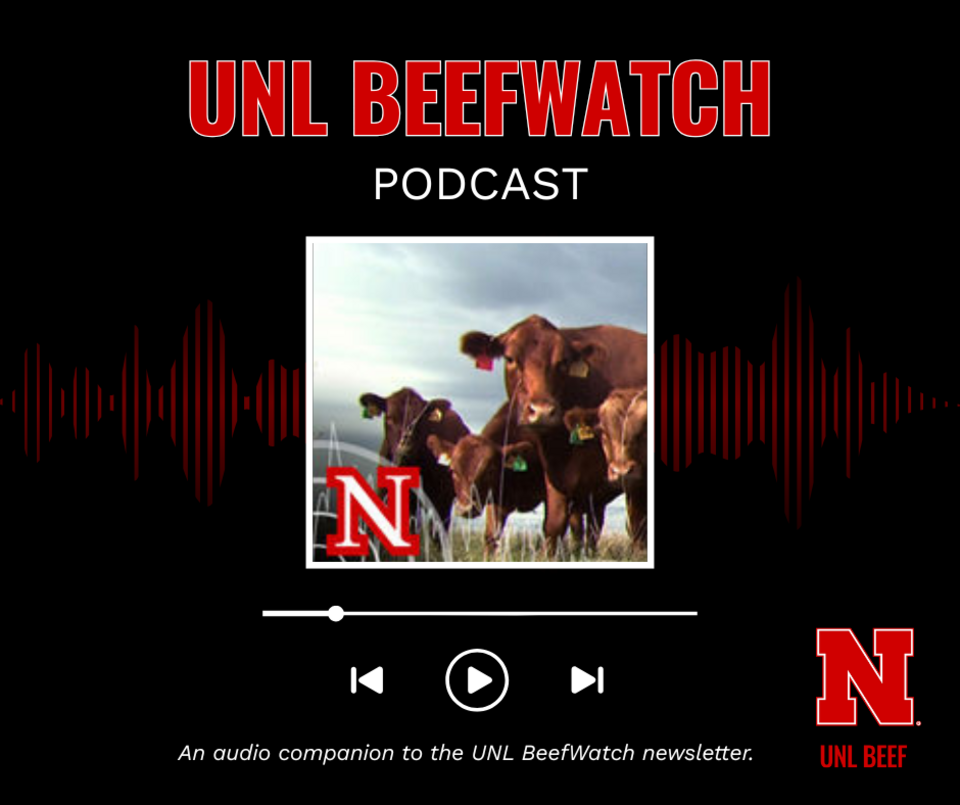 BeefWatch Podcast
