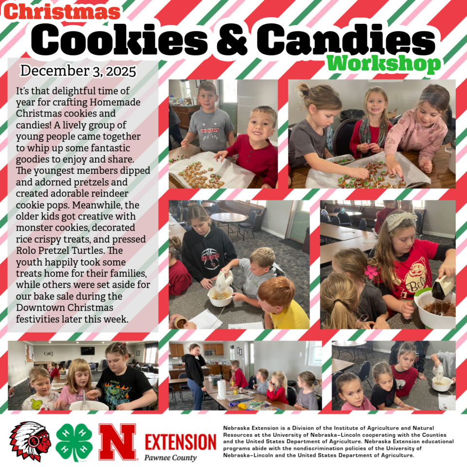 christmas cookie and candy