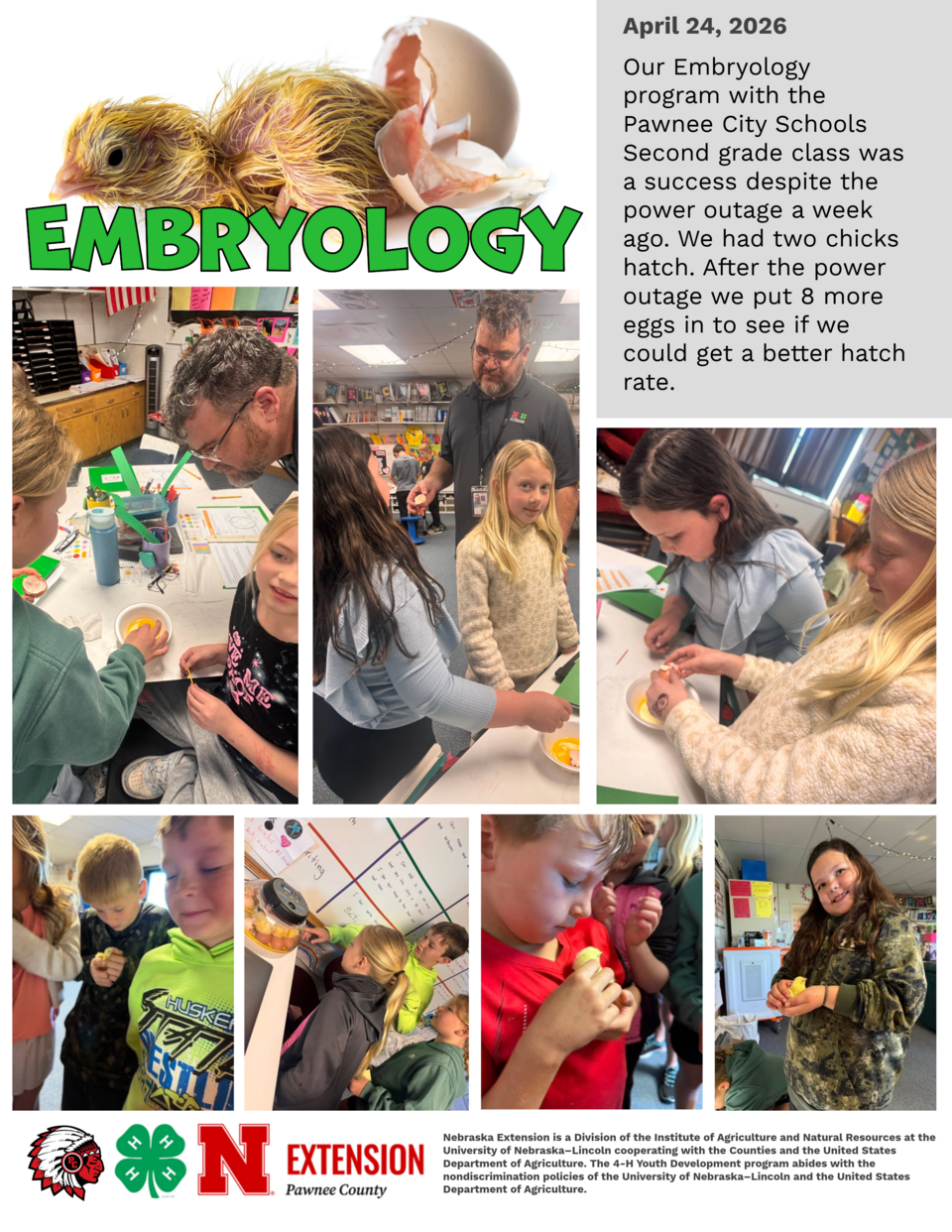 Embryology program with children observing chicks and eggs in a classroom setting.
