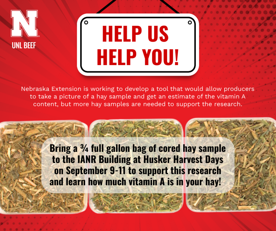 Help Us Help You Husker Harvest Day Hay