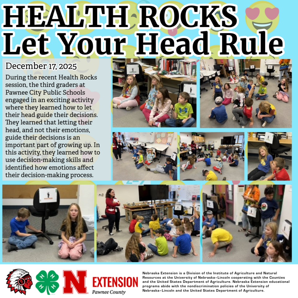 Health Rocks - Let your head rule