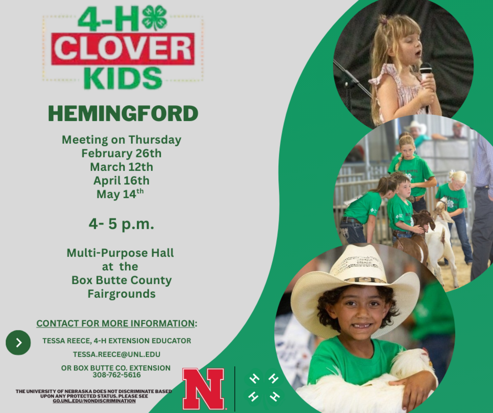 Hemingford Clover Kids Meeting