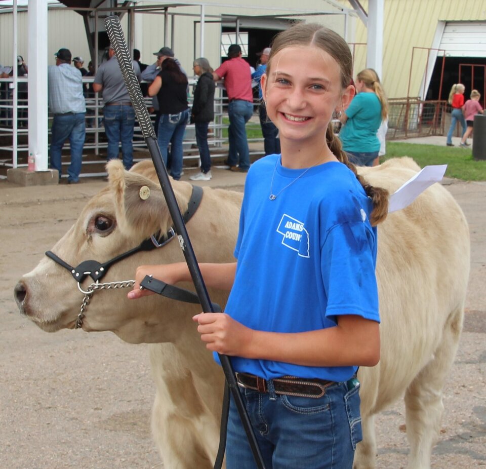 Young person in blue shirt holding a beige cow with a halter at an outdoor livestock event.