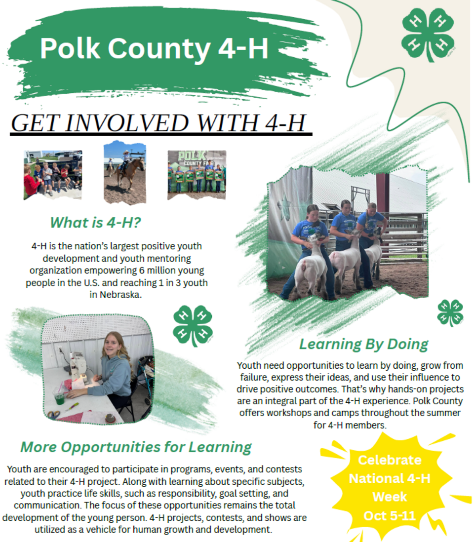 Polk County 4-H flyer with text, photos of youth in activities, and green clover designs.