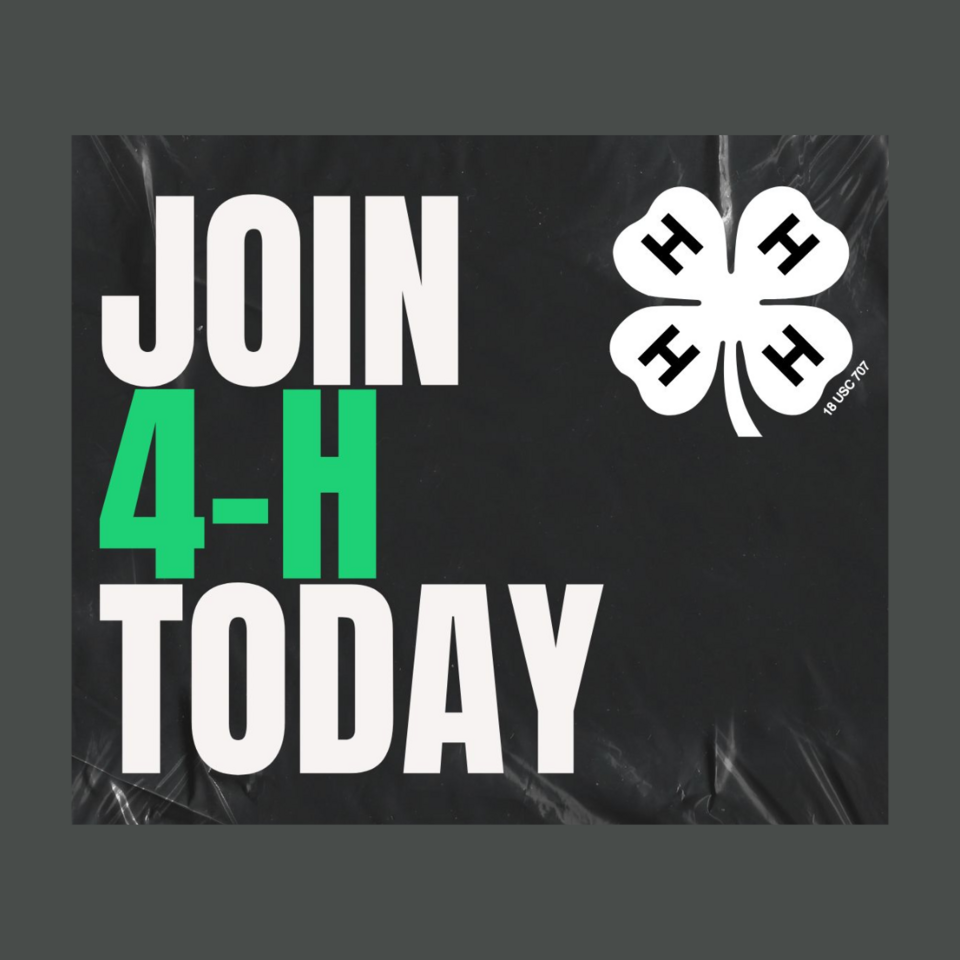 Join 4-H Today
