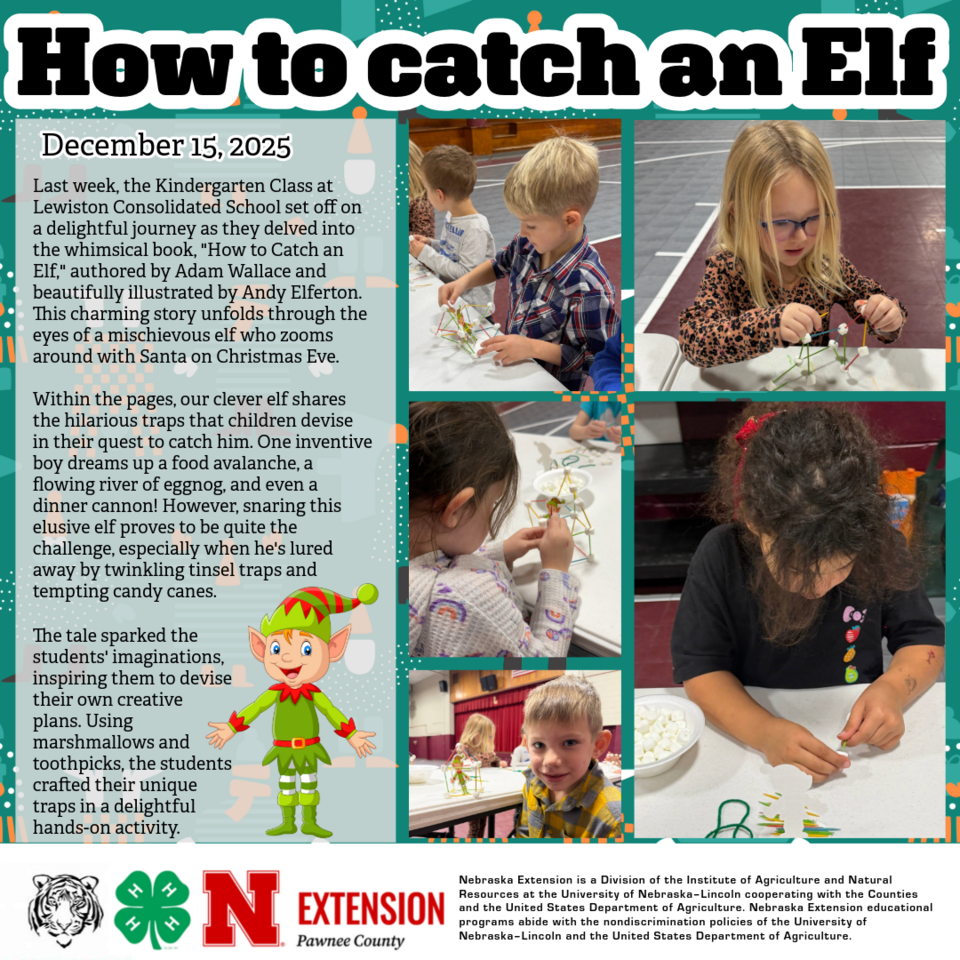 How to catch an Elf - Lewiston