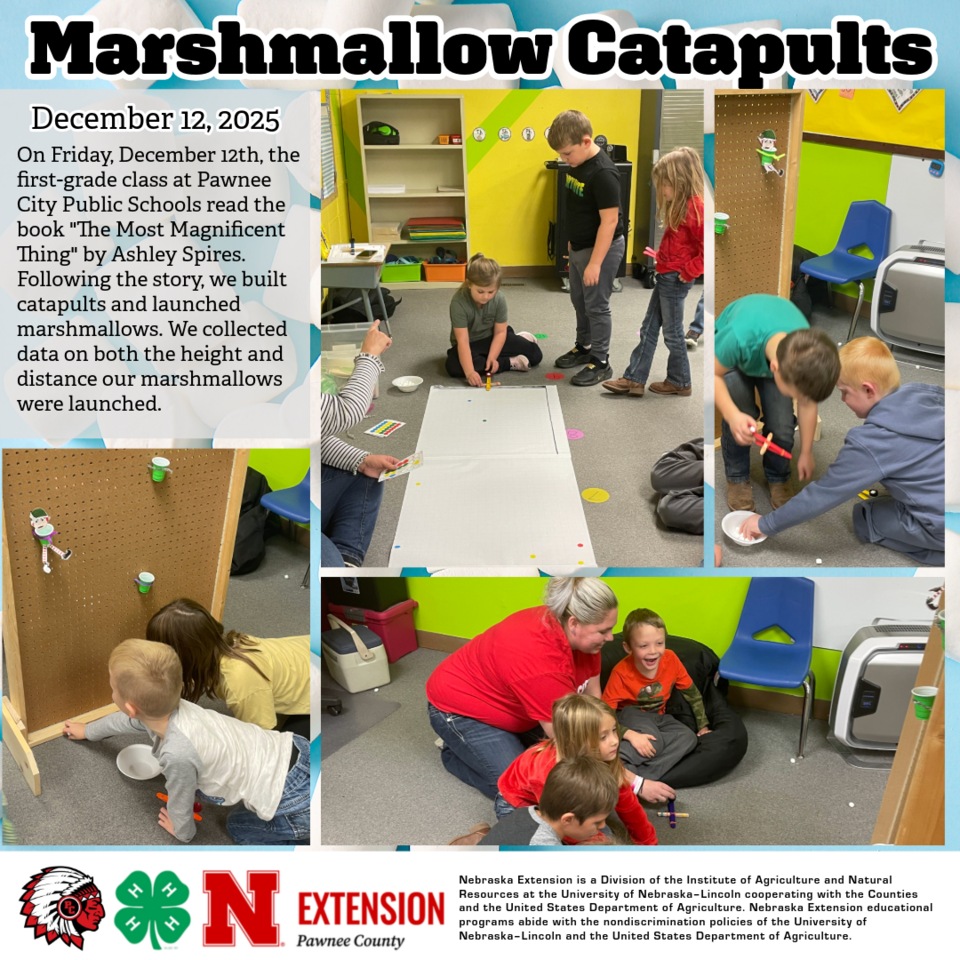 PC Marshmallow Catapults