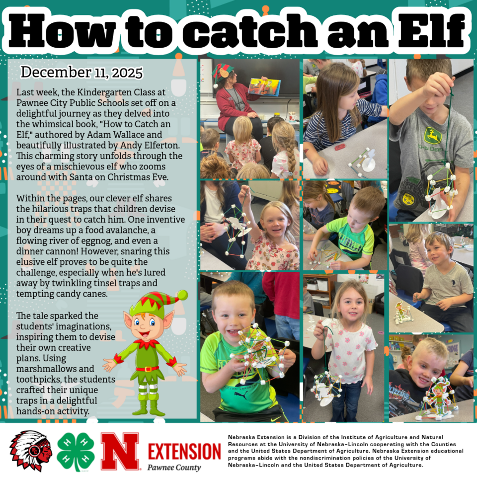 PC How to catch and Elf