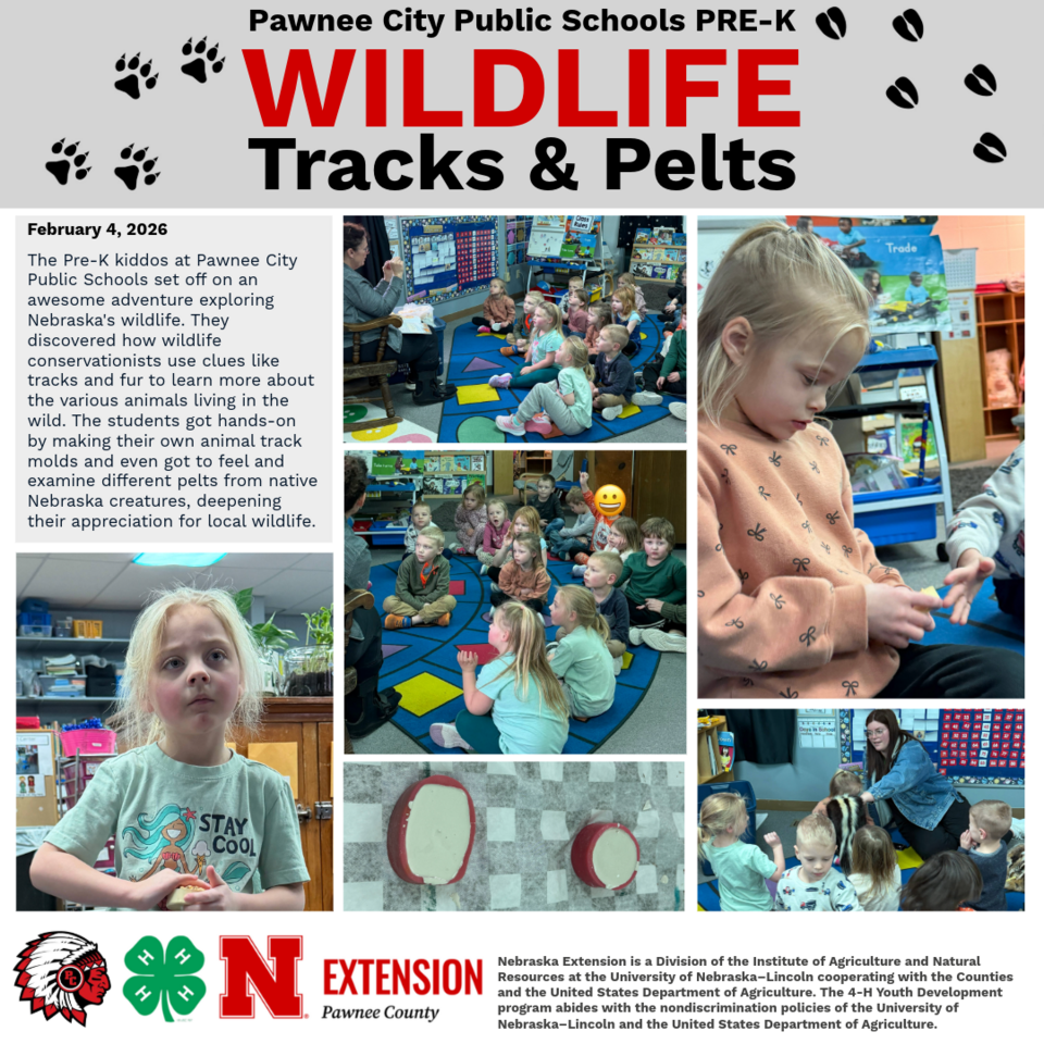 Children interacting with wildlife-themed activities in a classroom setting.