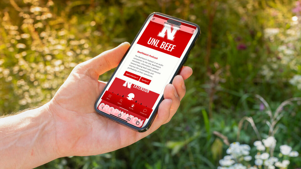 Hand holding a smartphone displaying a red and white screen, outdoors near green plants.
