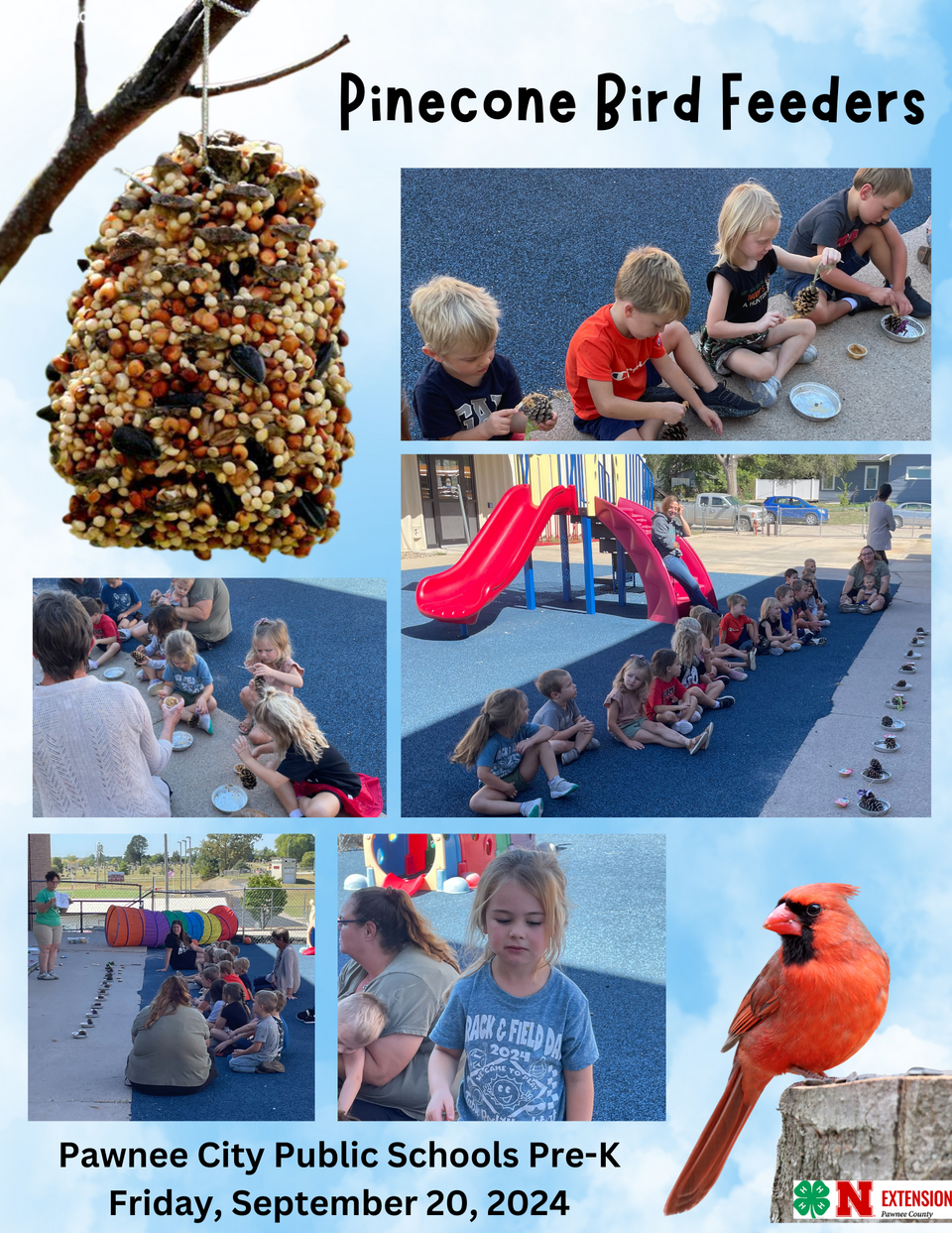 pinecone bird feeders