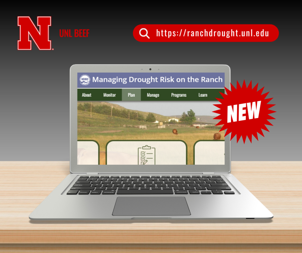Ranch Drought Wbsite