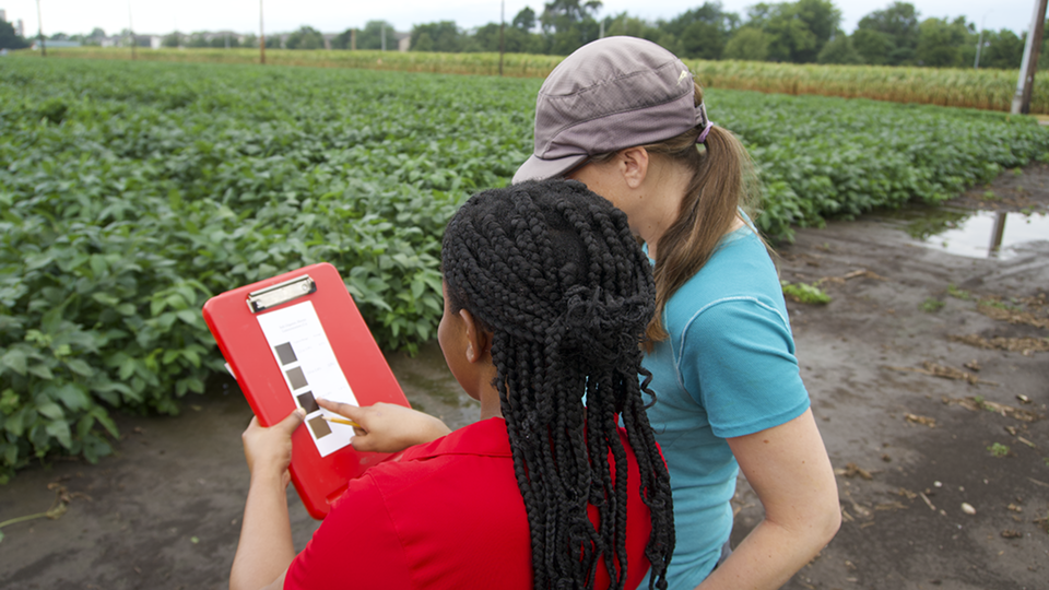 Two women inspecting a clipboard in a lush green agricultural field.