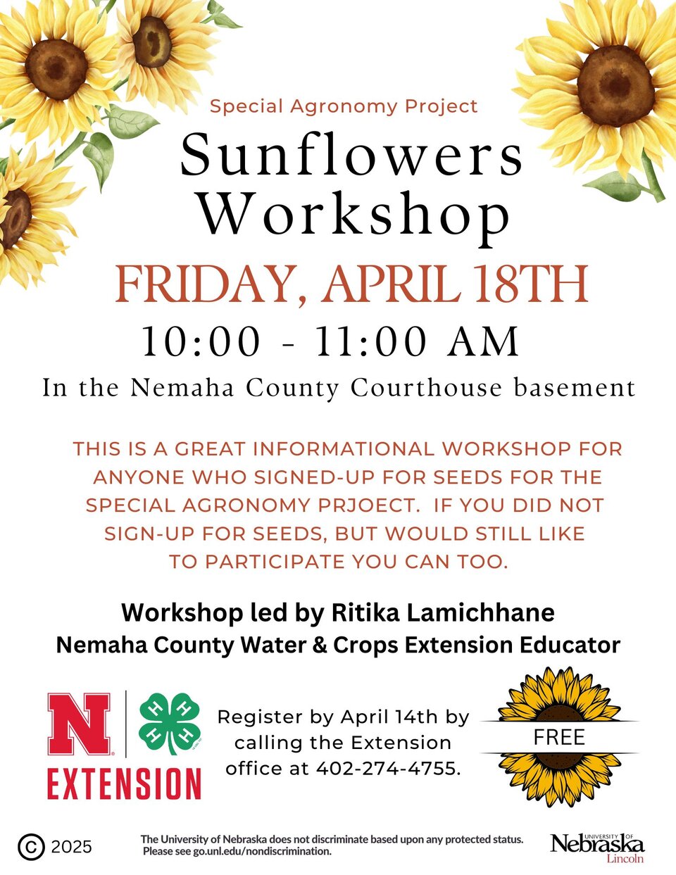 Sunflower Workshop