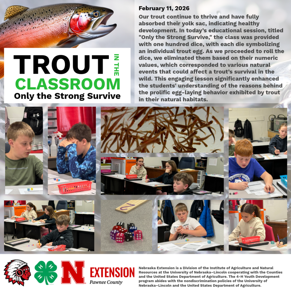 Trout education program with students in a classroom, dice activity, and trout graphics.
