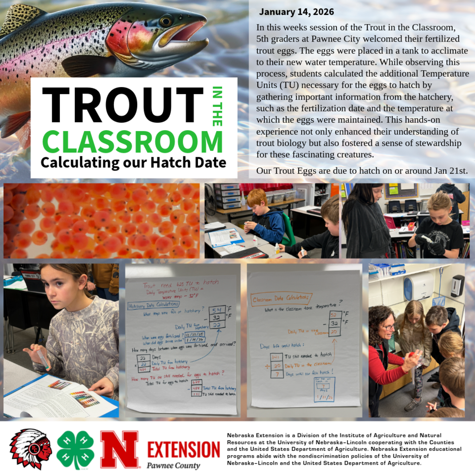 Trout in the Classroom - Calculating our hatch date