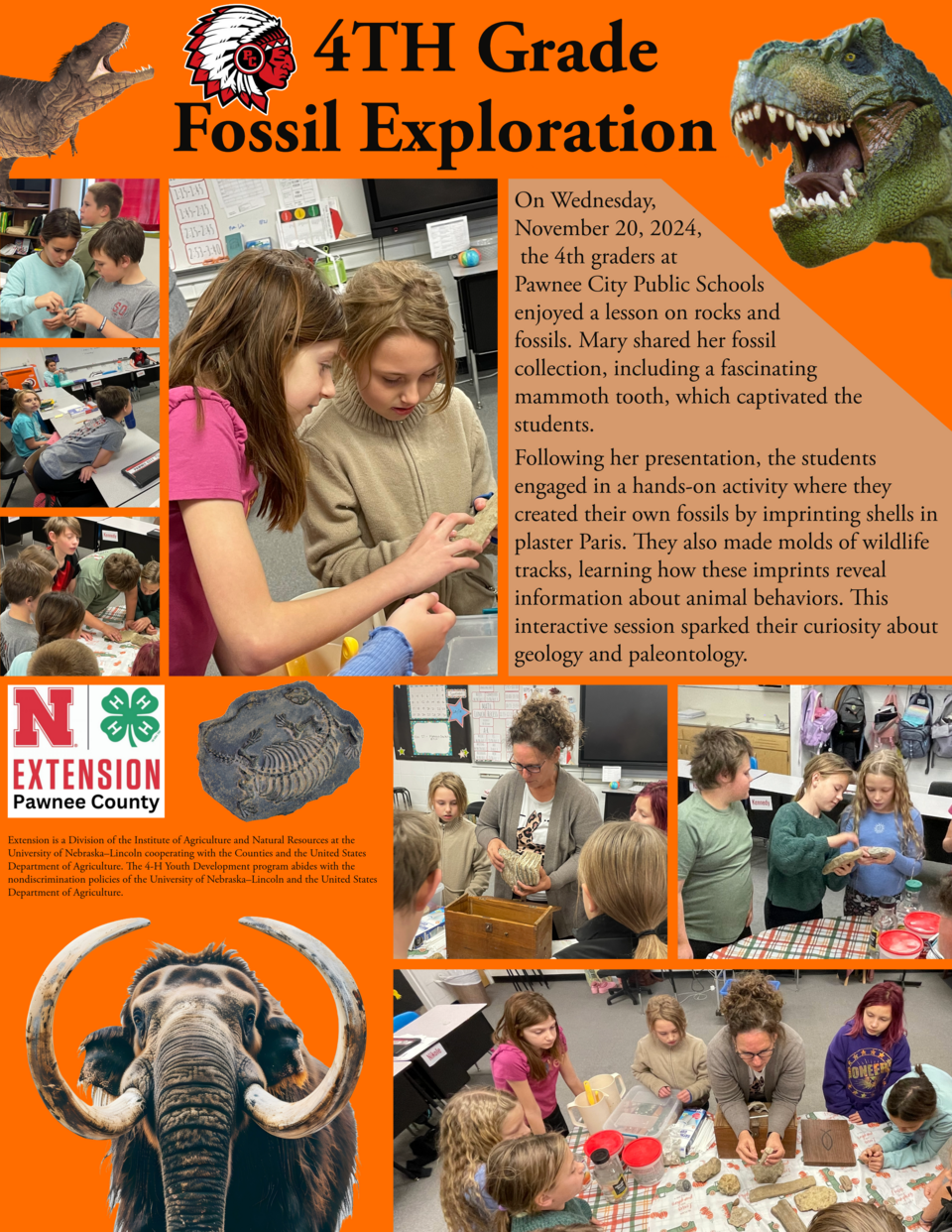 Fossil Exploration