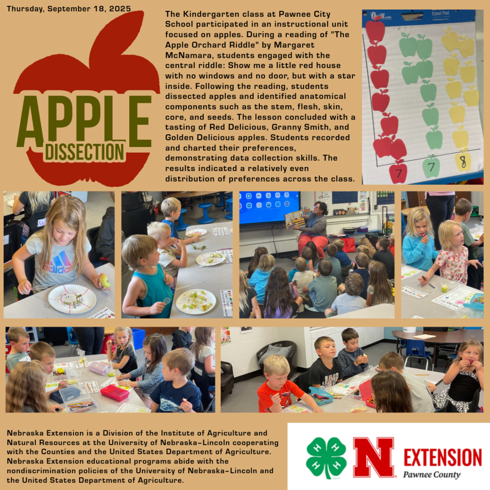 Apple Dissection Corrected