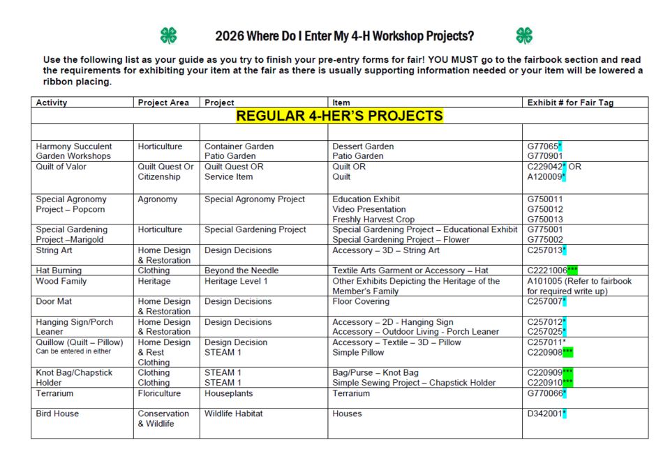 Table listing 4-H workshop projects, activity categories, project areas, and exhibit IDs.