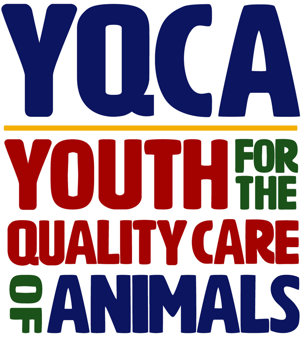YQCA