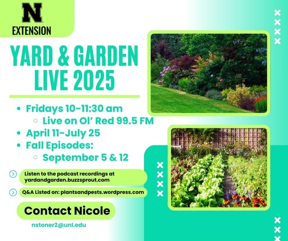 2025 Yard and Garden