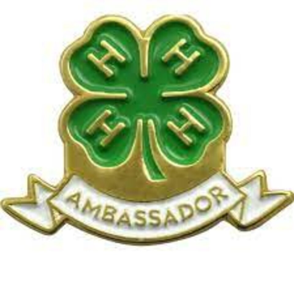 Ambassador