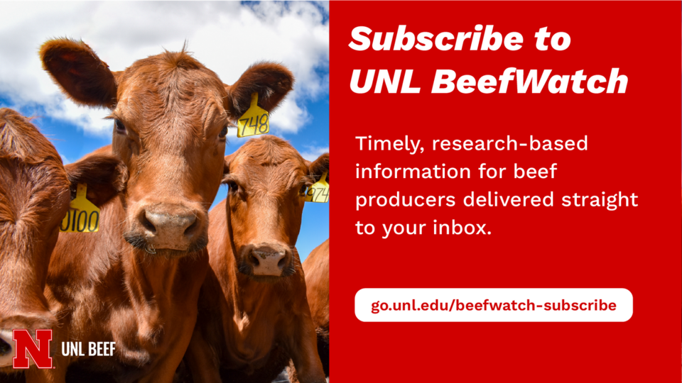 UNL Beef Watch