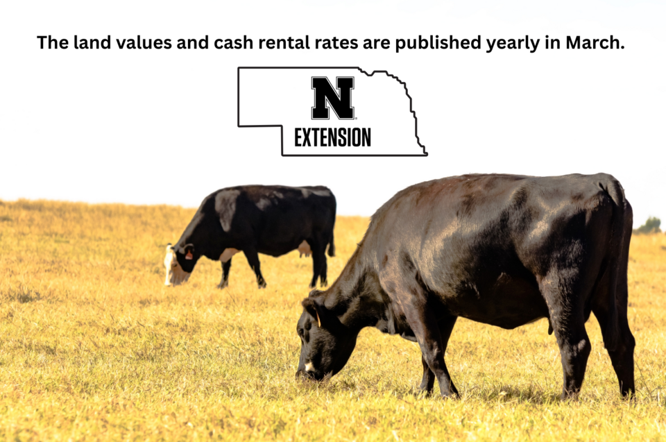 Land Values & Cash Rent | Nebraska Extension in Buffalo County ...