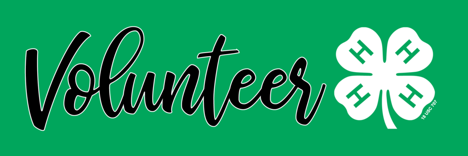 4-H Volunteer