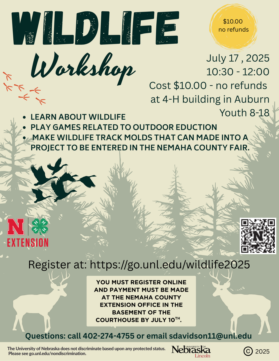 Wildlife, workshops