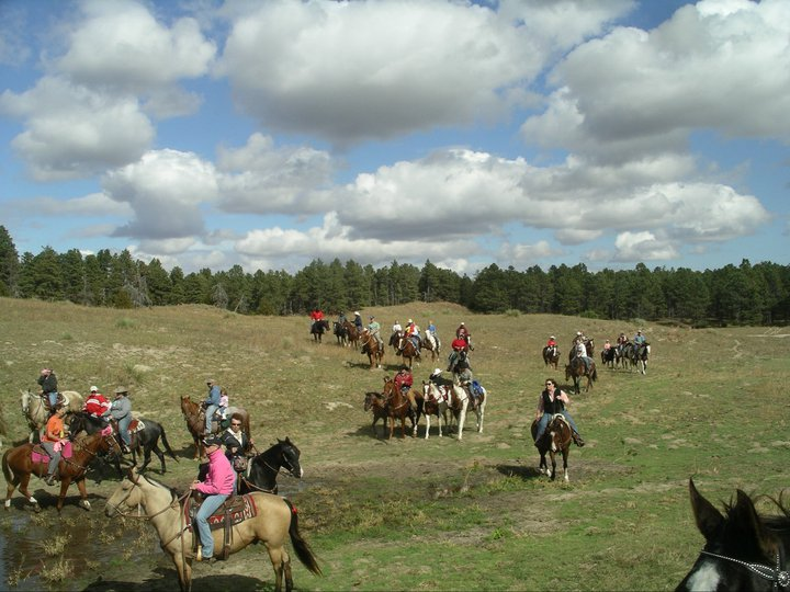 Riders enjoying the trails at the Halsey National Forest.