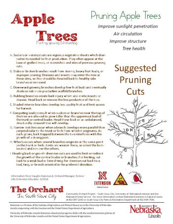 pruning chart